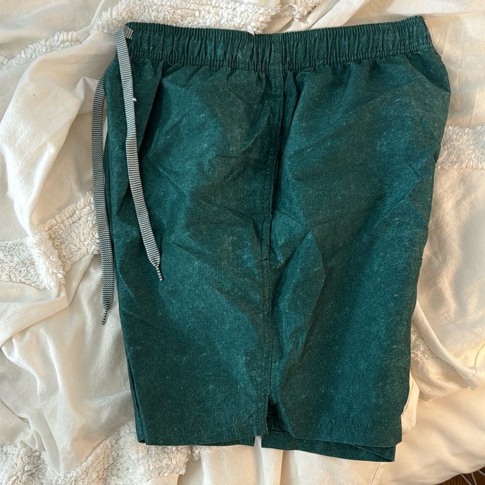 Green goodfellow bathing suit men